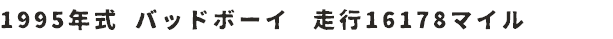 1995年式 バッドボーイ　走行16178マイル